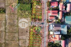 Bán đất đấu giá x9 cán khê, nguyên khê, đông anh, quy hoạch đường 40m giá 7.x trm2