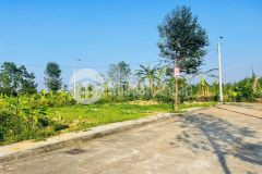 Không cần lo lắng tìm lô đất cực đẹp mà giá siêu rẻ vì giờ đã có tại phú mãn, quốc oai, hà nội.