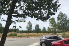 Bán liền ô đất 150m2 ngay tthc bàu bàng do chủ cần thu lại vốn giá tốt cho khách lh sớm