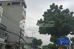 Bán nhà đường đức giang, long biên, 80m x c4, 4.6m mt, vỉa hè, kinh doanh đỉnh, ô tô dừng đỗ.