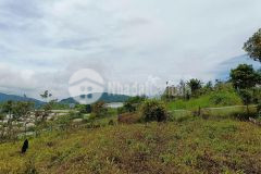 View trên cao cực thoáng đất rộng sổ riêng phường 7