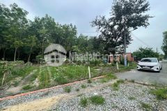 Bán đất tại xã long tân, dầu tiếng, bình dương, 880 triệu, 546 m2 hàng hiếm giá cực chất