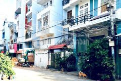 Bán nhà số 65655 cách mạng tháng tám,p11. q3