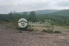 Cần lô đất nền 5400m2 hai mặt tiền đường vành đai đường 14g.xã hoà phú.hoà vang.đà nẵng