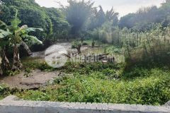 Bán nền nghỉ dưỡng 303m2 rạch sao, mỹ khánh, phong điền.