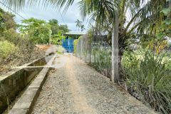 Bán đất lúa diên điền phù hợp quy hoạch full thổ cư sát vách nhà dân