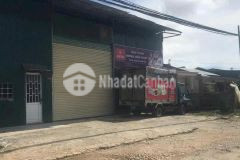 Tậu ngay lô đất mặt tiền đường nhựa ngô tất tố phường 8