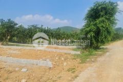 Bán đất đẹp, pháp lý rõ ràng chỉ từ 1xx, dt 172m