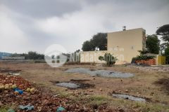 Bán đất lô góc mt, ful thổ, đường tân thới nhì 1, tân thới nhì, hóc môn, 4695m2, cực đẹp