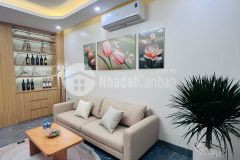 Nhà đẹp nội thất sang đường ô tô tránh ngõ phố ngô gia tự dt 48m2. giá 9.65 tỷ