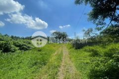 Bán đất đẹp tô hiên thành, lộc châu, bảo lộc, lâm đồng