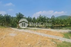 Nổ giá chỉ 170tr có ngay lô đất dt 117m tại đoàn kết, yên thủy, hòa bình.