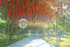 Bán nhà đại mỗ n từ liêm, ô tô đỗ cửa, bãi đỗ cạnh nhà, mới kính koong đất rộng 60m, 6.5 tỷ