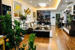 Căn hộ vip nhất quận cầu giấy viên kim cương trên cung đường tỷ đô trần duy hưng