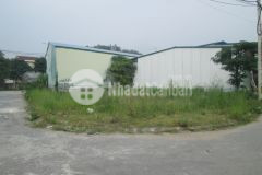 Ngộp bank bán gấp lô góc đất đấu giá trũng trên, lai xá cạnh đh thành đô 130m2 chỉ 16.68 tỷ