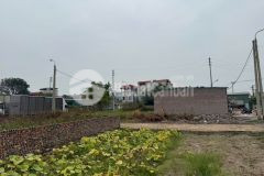 Bán đất đấu giá điểm x3 khê nữ nguyên khê đông anh giá rẻ nhất thị trường