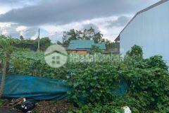 Bán đất hai mặt tiền phan đình phùng, phường 2, bảo lộc, lâm đồng