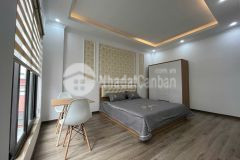 Chỉ 40 tỷ 200m2 đặng thai mai lô góc ô tô kinh doanh thang máy đầu tư