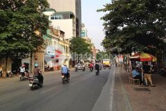 Bán gấp nhà phố nguyễn lương bằng, phân lô ô tô tránhdt 100m2, mt 6m, 30.5tỷ