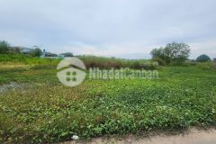 Đất nền thổ cư gần biển giá ngợp xã tân phước thị xã lagi cách lê minh công 100m biển 1 km