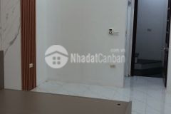 Bán nhà phố hoàng văn thái, thanh xuân, nhà đẹp ở luôn, lô góc, ngõ rộng