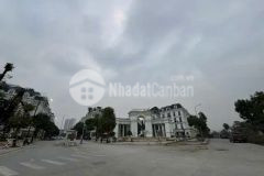 Bán lô góc louis city, n.t. liêm. dt 160m x 5,5t. trục chính, thang máy. giá 41,7 tỷ. lh 0964769634