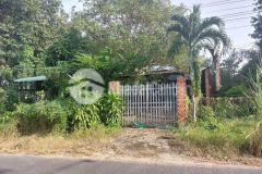 Mặt tiền 20m đường văn công khai, xã định an, dầu tiếng diện tích lớn giá siêu ngộp