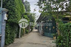 Bán lô đất 246m2 tân hiệp hóc môn giá đầu tư gọi cho em xem đất