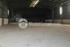 Kho, xưởng cho thuê tại huyện phúc thọ. hà nội