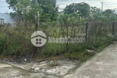 Đất thổ cư gần biển hẻm nguyễn du giá ngợp xã tân phước thị xã lagi biển 1 km