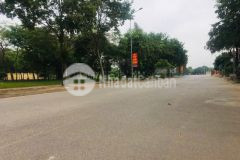 Bán đất gần vin cổ loa cách hồ điều hoà 100m