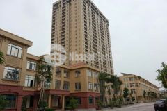 Không thê tim đâu ra căn hô 3pn2vs tai dream tower coma6 tây mô vơi mưc gia như nay