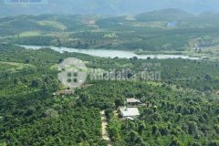 Bán đất sào đinh rang thượng, di linh, lâm đồng chỉ 270trsào