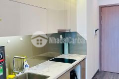 Sở hữu ngay căn studio hay vận hành cho thuê được luôn tòa r1.03 tầng trung