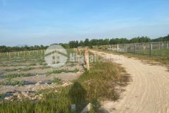 Đất sào 1000m có 300m thổ cư đường 6m xã tân bình thị xã lagi gần biển