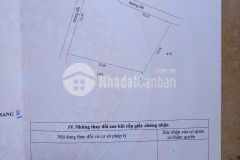 Bán đất, xã tam bình, huyện cai lậy, vườn sầu riêng