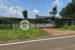 Cần bán mảnh vườn tâm huyết không có tg chăm hơn 1000m2 ngay cầu nha bích giá 195tr