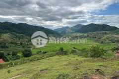 Siêu phẩm đất nghỉ dưỡng 5000m² tại mộc châu gần chuyện của mơ, view núi đồi đẹp ngỡ ngàng