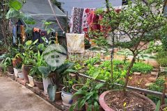 Đất đẹp hiếm giá rẻ tổ 3 giang biên long biên dt 70.8m2. giá 3.6 tỷ