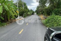 Bán đất thổ vườn trương văn đa, bình lợi 2,1ha bình chánh