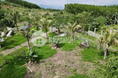 Bán đất vườn khánh đông giá rẻ gần tỉnh lộ 8 đã lên mô hình farm cơ bản