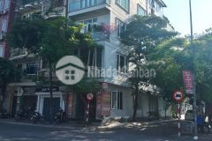 Kinh doanh sầm uất, nhà mặt phố ngọc lâm, lô góc, vỉa hè, đất nhiều lộc.