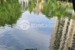 Bán nhà vĩnh hưng, nhà mặt phố giá trong ngõ, kinh doanh sầm uất