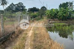 Đất mặt tiền sông dinh tân an thị xã lagi giữa trung tâm cách nguyễn bỉnh khiêm 100m