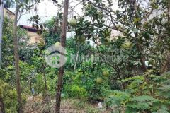 Bán đất ninh sở, thường tín,350m2