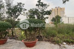 Lô đất đường cao đẳng mẫu giao trung ương đường liên phường dt 111m