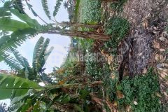 Bán nhà đất xuân phương nam từ liêm