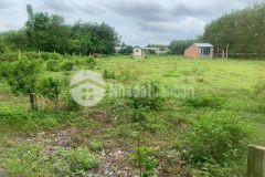 Bán đất thị xã trảng bàng, 2 lô liền kề dt mỗi lô 5 x 60, sẵn shr, chỉ 650tr 1 lô. lh0355789196 tâ