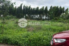 Đất ngợp đường phùng hưng giáp dinh thầy thím và bến xe xã tân tiến thị xã lagi