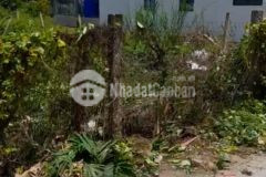 Bán đất tân trụ long an, dt 134m2 full thổ, sẵn shr, chỉ 750tr. lh0878478474.